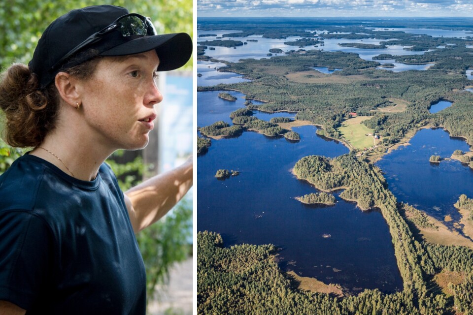 På lördag firas Åsnens nationalparks femårsjubileum. Det blir en fullspäckad aktivitetsdag med bland annat brygginvigning, tipspromenader, njutarbingo och naturguidningar, säger Alexandra Nielsen, naturförvaltare på länsstyrelsen Kronoberg.