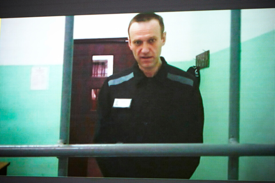 Oppositionsledaren Alexej Navalnyj riskerar ytterligare 20 års fängelse. Här syns han på en bild av en tv-skärm när han framträdde på videolänk i rätten i juni.