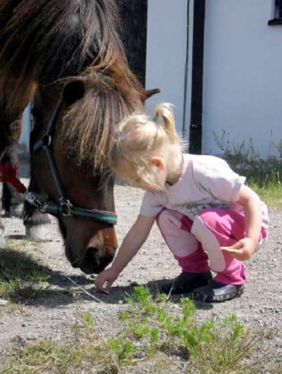 Min söta systerdotter Nemi 2,5 år med hästen Gneisti. Kärlek vid första ögonkastet, skriver Jennie Cangemark i Trekanten.