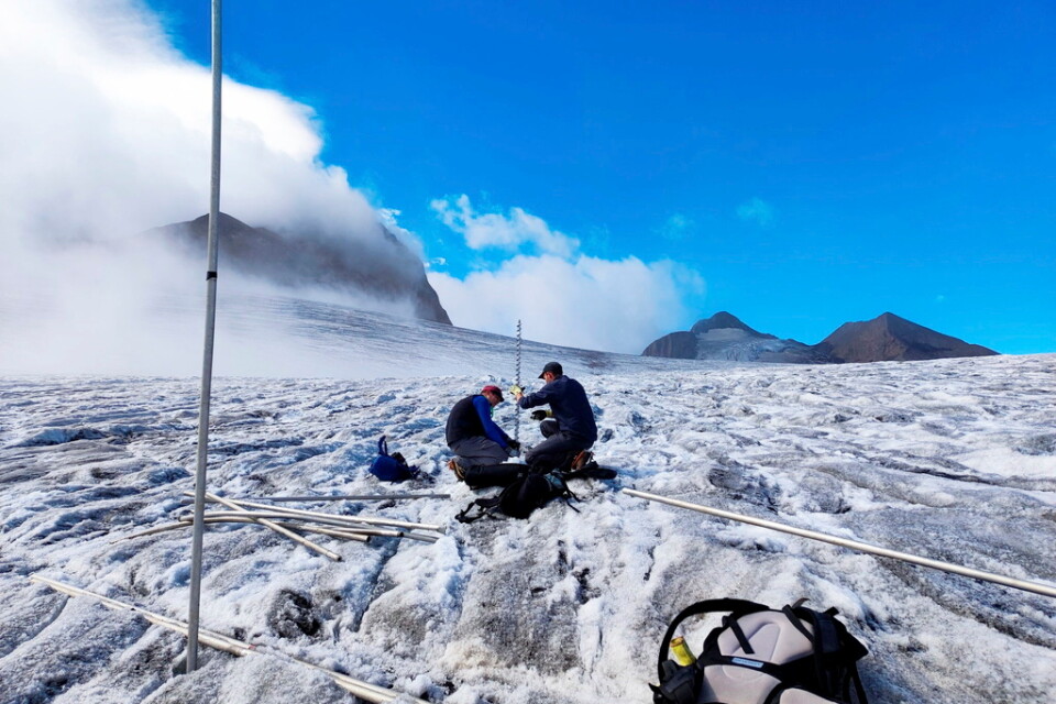 Glaciologer arbetar med att stadga upp mätpålar på glaciären Gries i schweiziska Alperna.