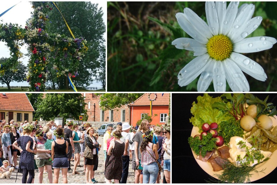 Along with Christmas, Midsummer is our most important festival. With light nights, thebgreenery has magicpowers.