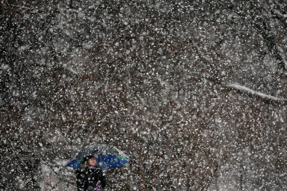 SMHI har utfärdat klass 1-varningar för kraftigt snöfall i flera län. Värst väntas det bli i Västerbottens inland där uppemot 20 centimeter snö kan falla lokalt. I Dalarna, Gävleborg, Jämtland och Västernorrland väntas 5-15 centimeter nysnö. Snöfall och