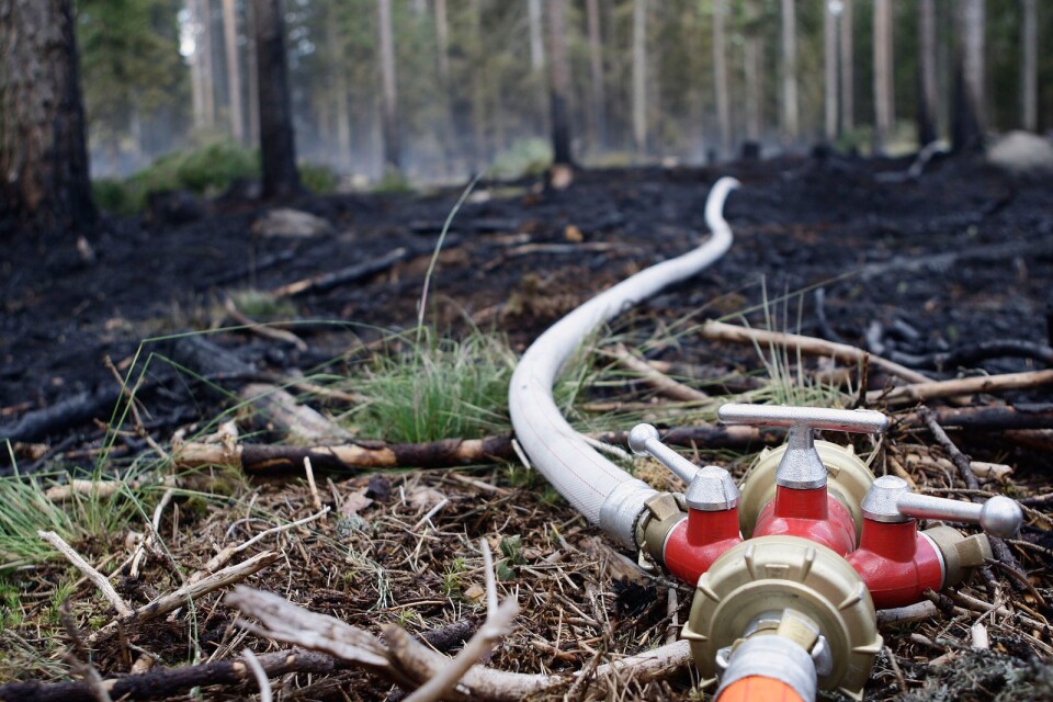 Torra marker ökar risken för skogsbränder.