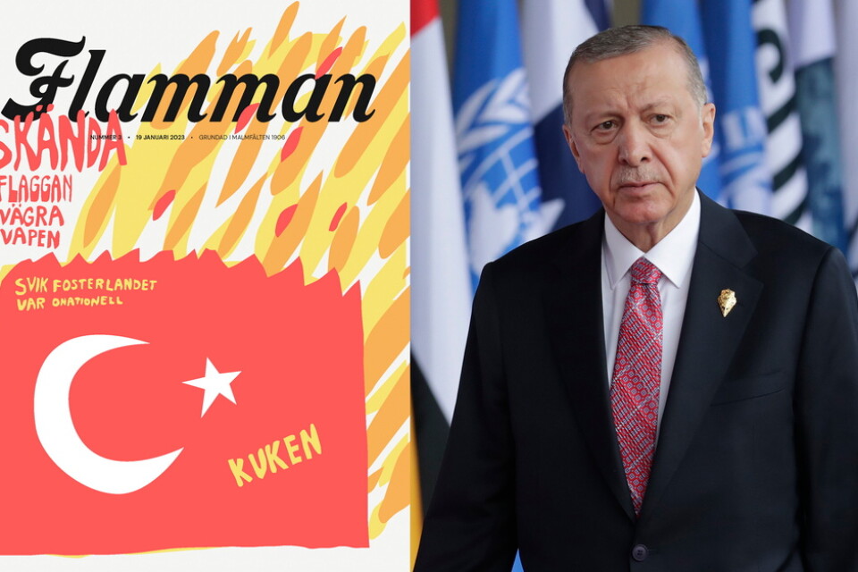 Turkiet och dess president Recep Tayyip Erdogan står i fokus för Flammans kampanj.