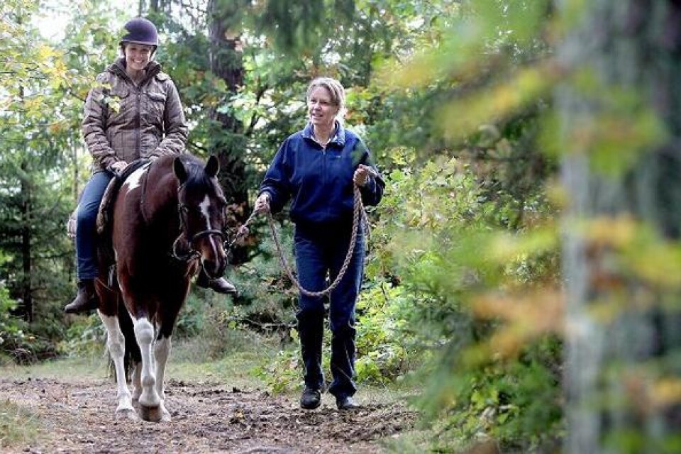 I de vackra och rogivande omgivningarna i Humlamaden får deltagarna i rehabiliteringsprojektet chans att njuta av hästens rytmiska vaggande gång.