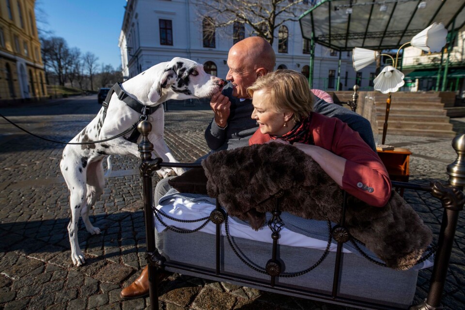 Thomas Pettersson och Anki Albertsson fick besök av flera nyfikna hundar och hundägare på Larmtorget. Foto: Pressbild/Suvad Mrkonjic
