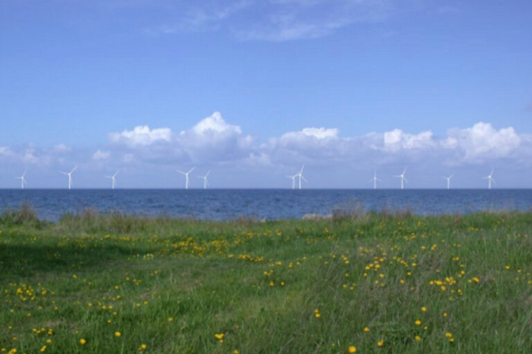 62 fastighetsägare går samman mot vindkraftpark: ”Borde placeras någon annanstans”
