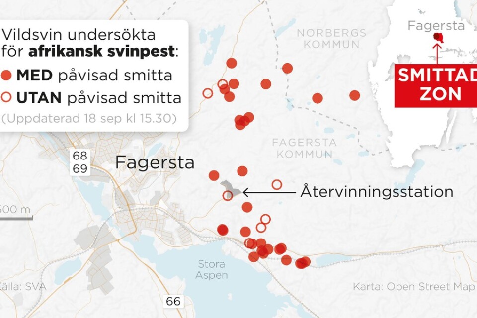 Kartan visar var testade vildsvin hittats utanför Fagersta i den zon med restriktioner som Jordbruksverket har infört.