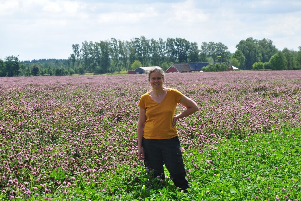 Vissa av de klimat- och miljöåtgärder som lantbrukare har kunnat få stöd för hittills har inte haft någon större effekt, säger Juliana Dänhardt, doktor i zooekologi vid Lunds universitet.