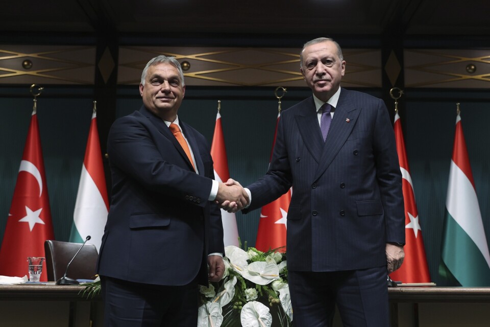 Turkiets president Recep Tayyip Erdogan skakar hand med Ungerns premiärminister Viktor Orban i Ankara 2021.  Nu 2023 är de förenade i att tveka med att släppa in Sveige och Finland i Nato.
