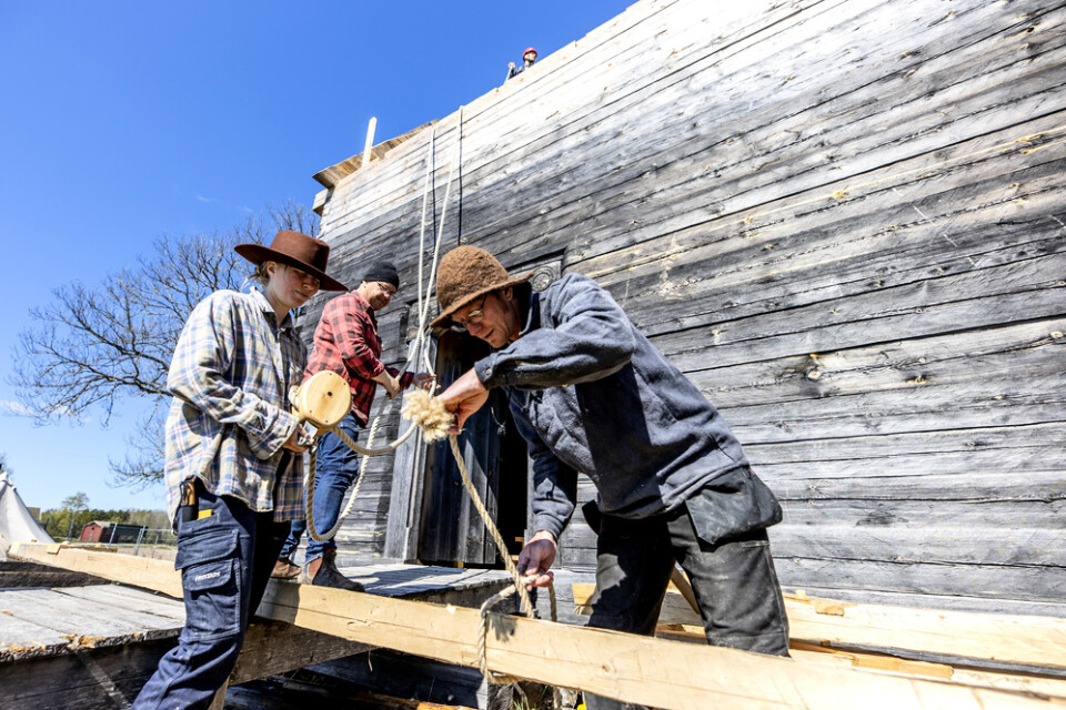 Amanda Nilsson, Jörgen Rånge och Mattias Hallgren förbereder att lyfta en takstol på plats med talja och rep. Hantverket i nybygget görs med gamla metoder, men i arbete på hög höjd följer man lagens krav om arbetsmiljö.