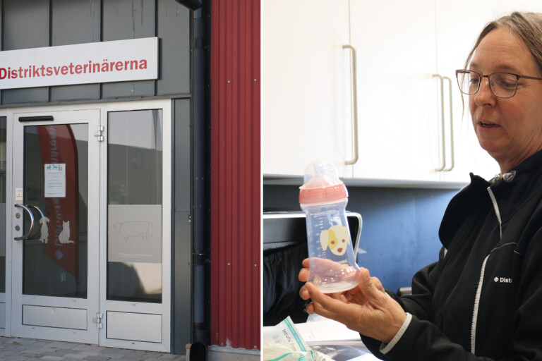 Ny klinik för distriktsveterinärerna på Öland