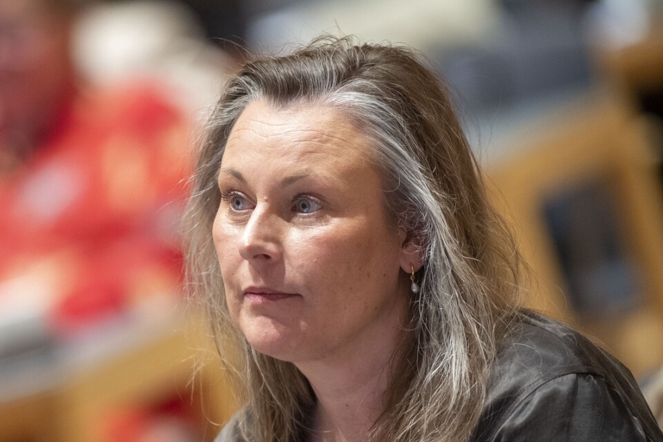 Camilla Palm (M) är ny på posten som kommunstyrelsens ordförande. Ett av hennes första beslut blev att granska SD-gruppledaren Carl Henrik Nilssons arvoden.