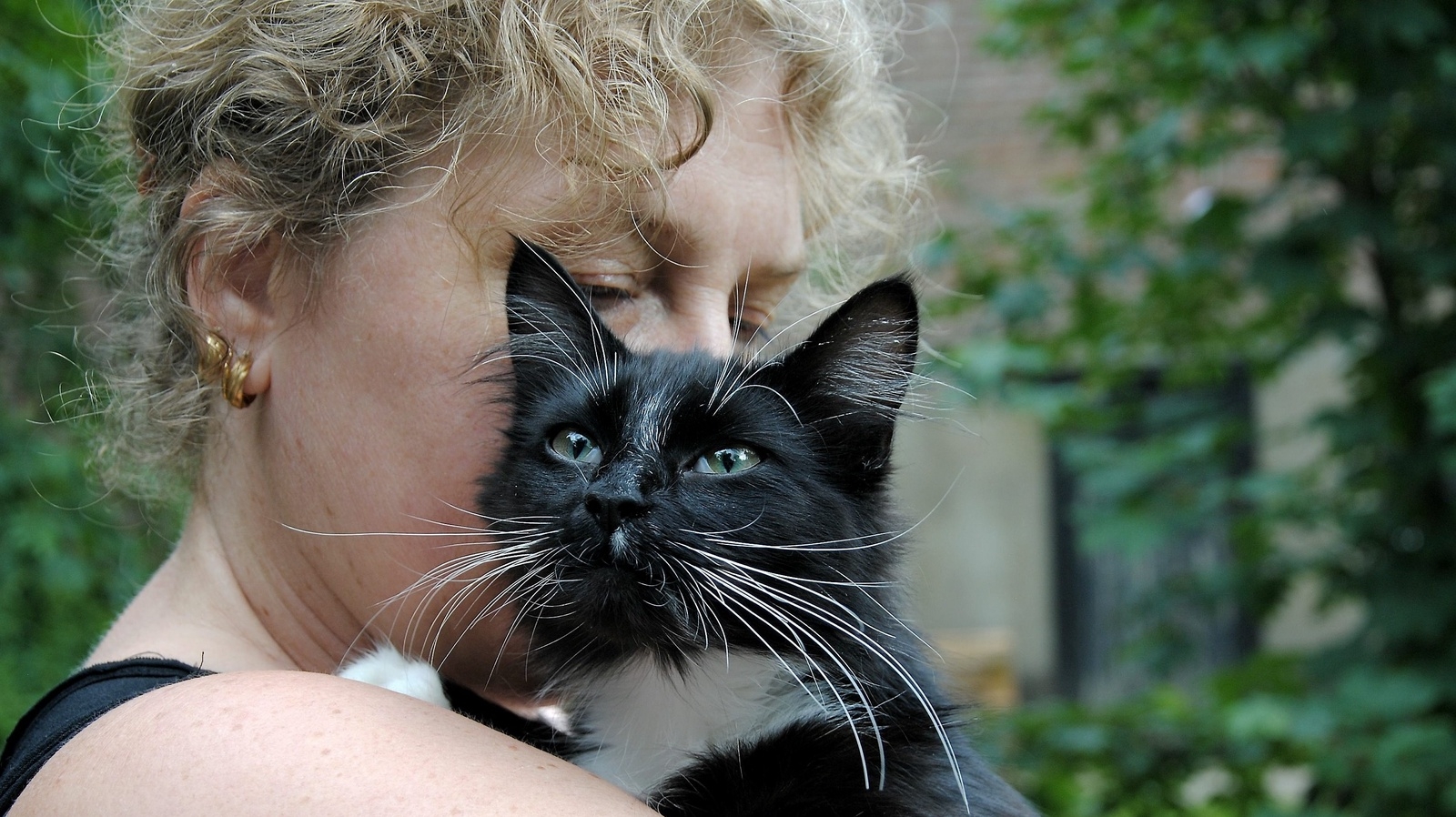 Saga, som katten, heter tillfälligt kom svårt sjuk och dräktig till katterian för bara någon vecka sedan                 FOTO: Linda Grip