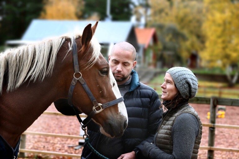 Martin från Öland åkte till Ukraina för att rädda hästar