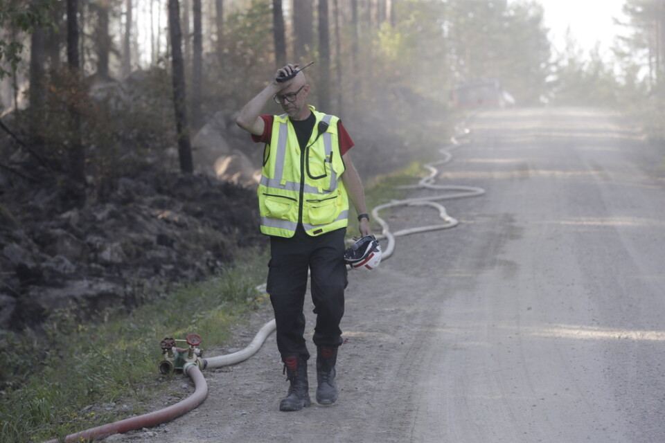 Ett 50-tal brandmän från tio brandstationer i Hälsingland och Gästrikland bekämpar terrängbranden.