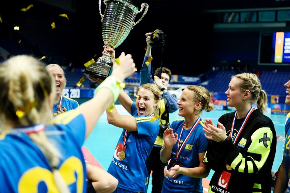 Tjeckien, Tyskland och Lettland - det är inget skrämmande motstånd för de svenska innebandydamerna i VM-slutspelet i december. Sverige är regerande mästare och vann enkelt alla fyra kvalmatcher till VM. Bland annat blev det 17-2 mot den blivande VM-mots