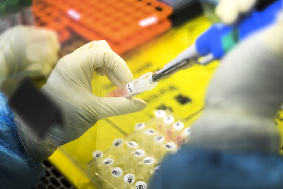 En anställd arbetar med tester av coronaviruset på ett tillfälligt laboratorium i Wuhan, i början av februari. Arkivbild.