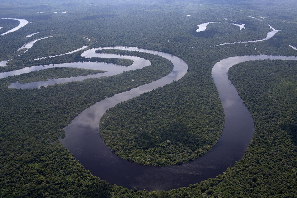 Drygt en tredjedel av världens floder, cirka 37 procent, strömmar fritt. Arkivbild.
