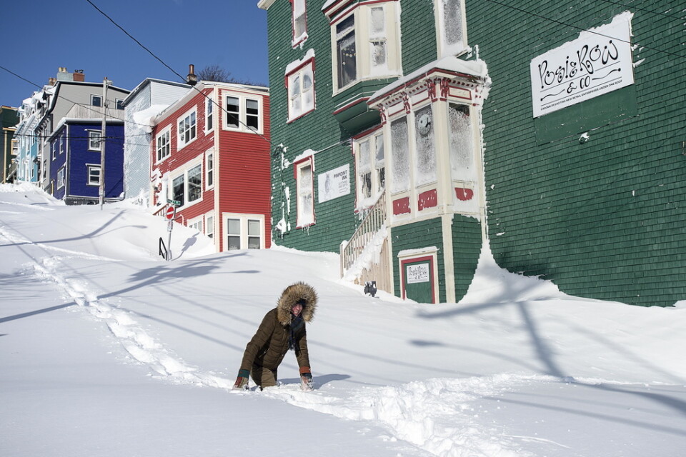 En invånare pulsar fram i snömassorna som begravt staden S:t John's i Newfoundland.