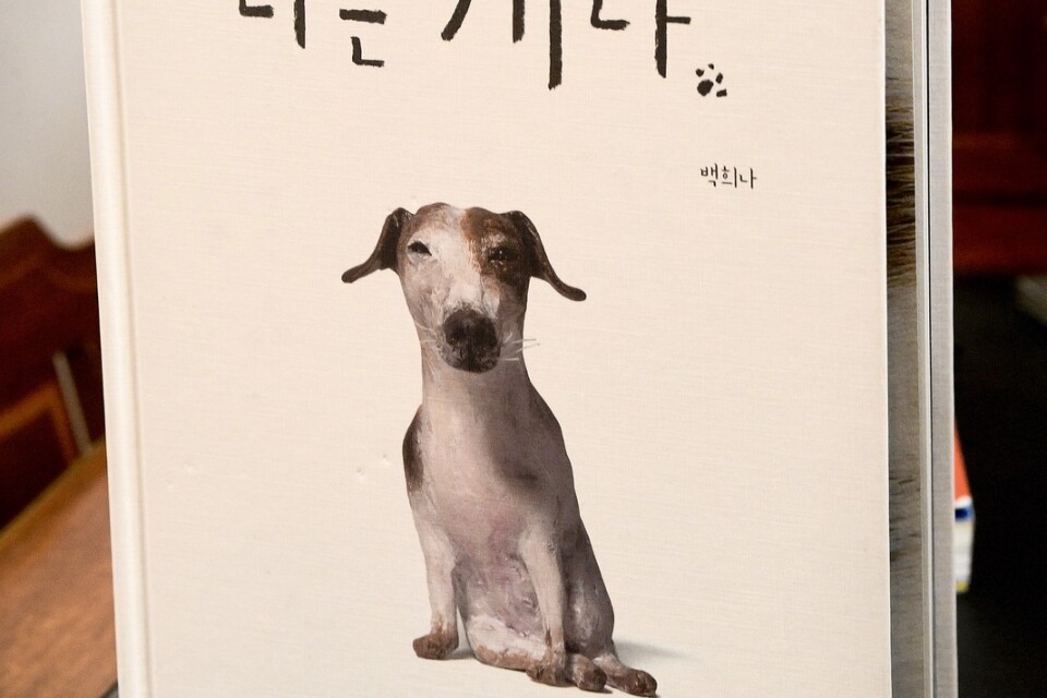 "I am a dog" som kom 2019 är Baek Heenas senaste bok.