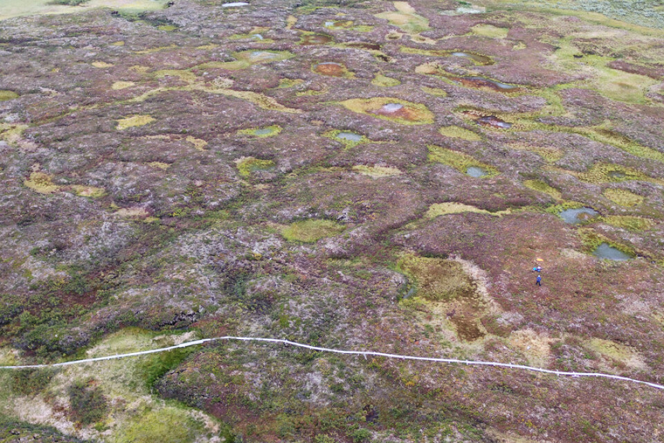 Vissátvuopmi är Sveriges största sammanhängande palsmyr. Här syns palsarna som gråbruna upphöjningar, samt några termokarstsjöar som bildas där palsar är på väg att försvinna.