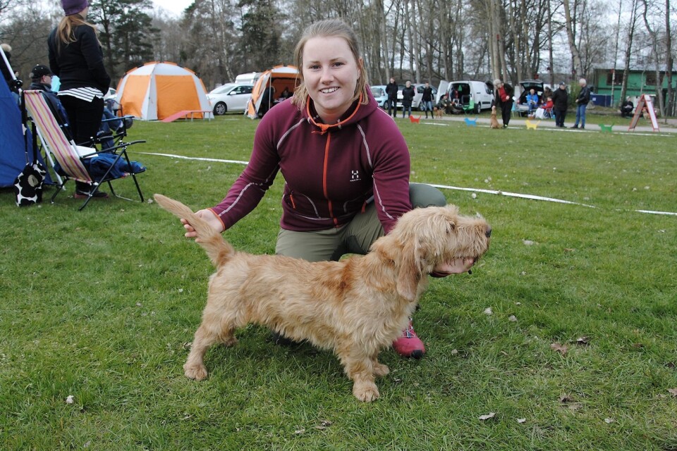 Sanna Gudmundsson med Ragnar Rabarberpaj (som kallas Ubbe). Ubbe vann bästa hanhund i Basset Fauve de Bretagne när det var hundutställning vid Tydingesjön.