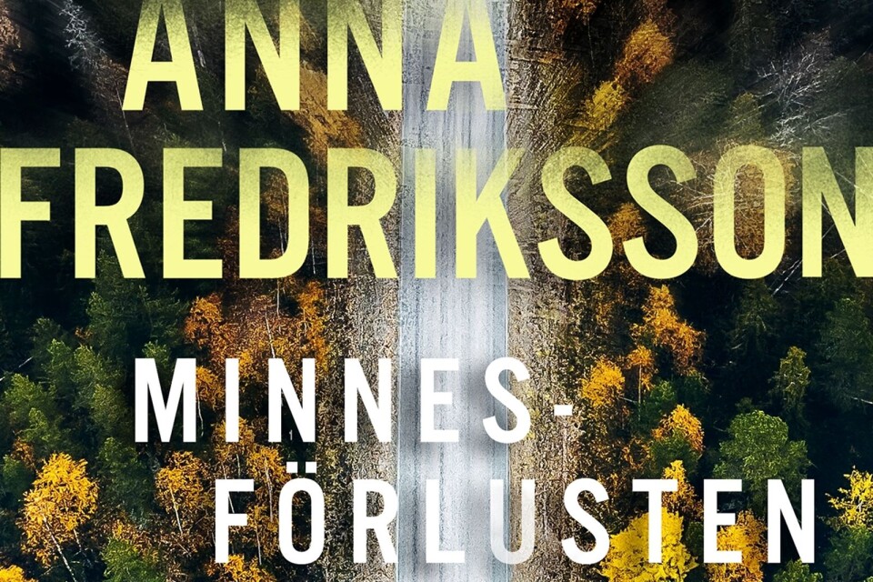 Anna FredrikssonMinnesförlusten