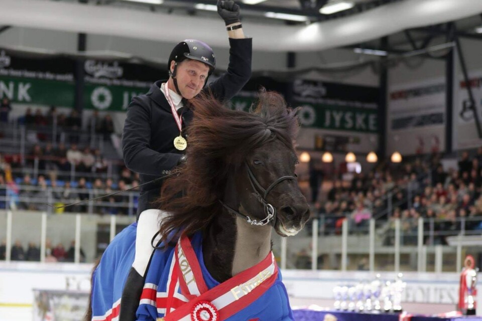 Magnus Skulason på hästen Noi från Brösarpsgården, under tävlingen Istölt i Danmark.