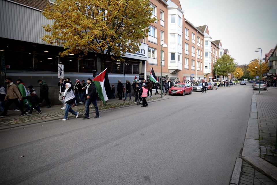 Manifestation mot kriget i Gaza i Hässleholm under den gångna lördagen.