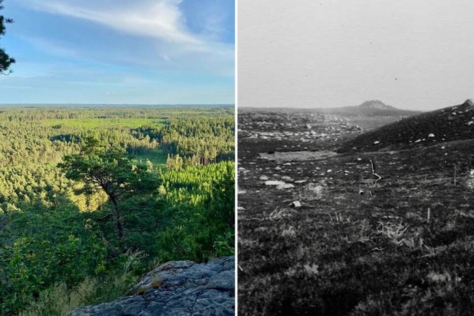 Bilden till vänster är tagen från Hunnsberget i västradelen av länet i år. Bilden till höger är från 1912 visar samma område med Hunnsberget vid horisonten, inte ett träd.
