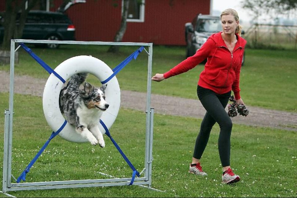 Marion Persson och hunden Blåna kommer idag att tävla i agility. Tävlingen börjar på morgonen på Trelleborgs brukshundklubb i Simremarken. ”Vi tävlar i nybörjarklassen", säger Marion Persson.