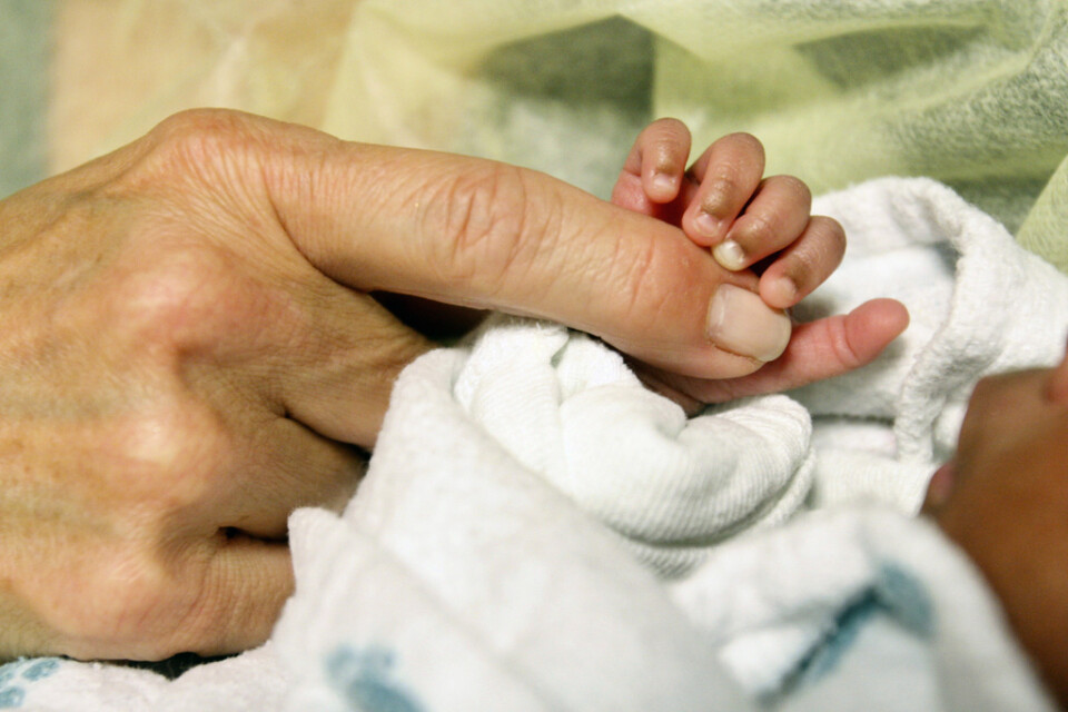 Enligt en dansk studie föds det flest extremt tidigt födda barn på hösten. Arkivbild.