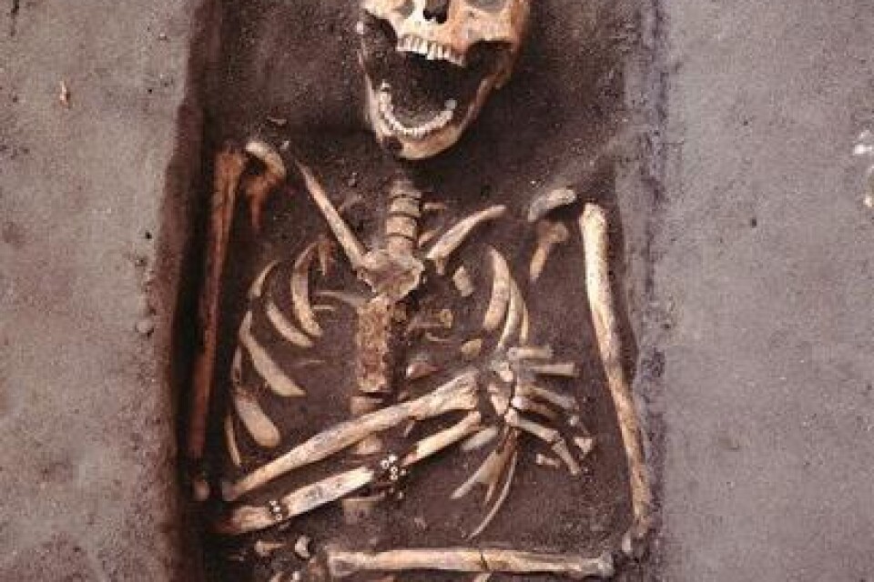 Ett av flera skelett funna vid utgrävningen i Åhus för några år sedan. I nya boken "Åderförkalkning och portvinstår" berättar Caroline Arcini om gravplatsen och äldre tiders Åhus.