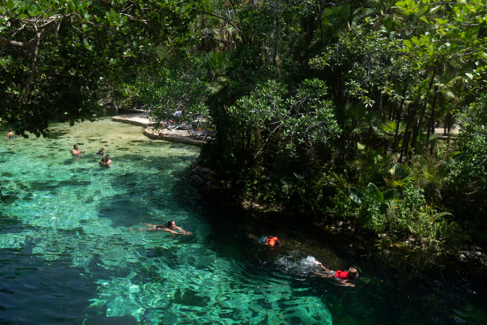 Besökare simmar i en cenote, de berömda färskvattenkällorna som finns på Yucatánhalvön. Platsen ligger vid en av Mayatågets planerade stationer, vilket innebär att antalet turister här kan växa betydligt.