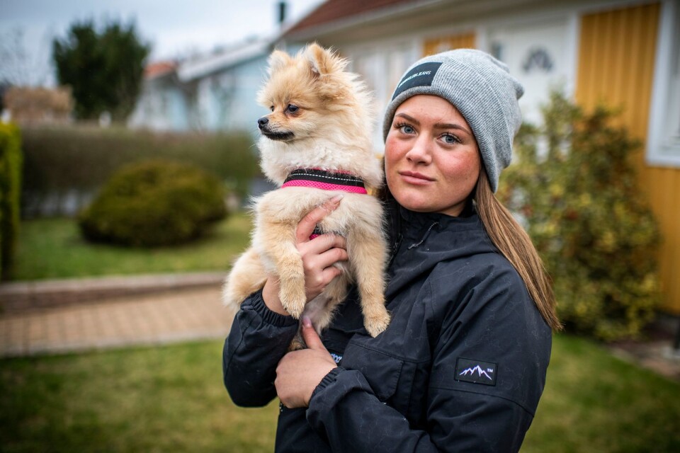 Hundköpet blev inte alls vad Emma Nilsson hade tänkt sig. Enligt veterinären är Molly troligtvis insmugglad till Sverige och inte vaccinerad och kontrollerad som hon ska.
