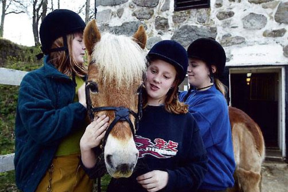 Tjejernas favorit. Hästen Quennie behöver inte sakna uppmärksamhet. Det ser hennes skötare Nathalie Kultanen och de andra tjejerna i stallet till. Foto: BO ÅKESSON