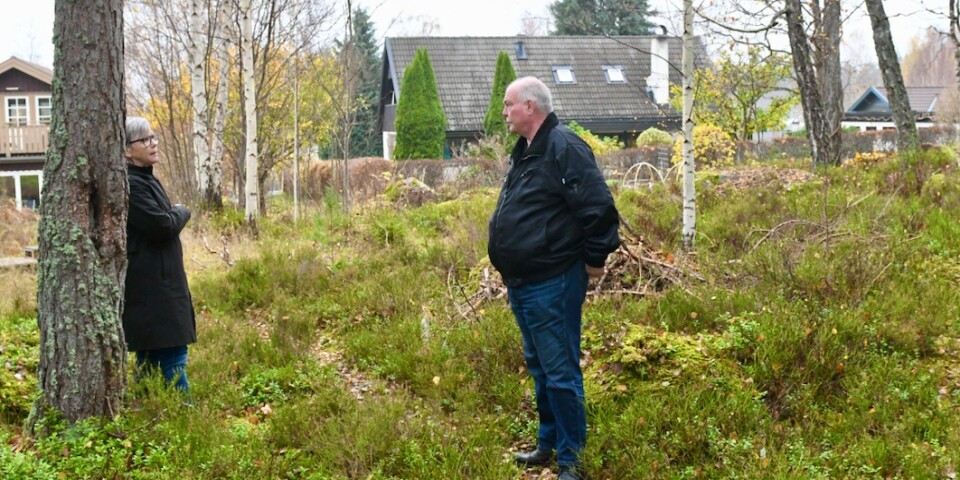 Grannar tar strid mot nya villatomter i skogen ”Raseri på förtätning i Hovmantorp”