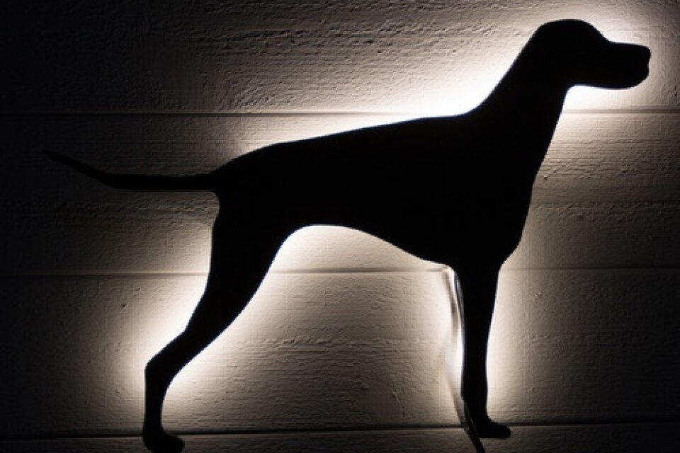 Håkans första lampa föreställande en siluett av hunden Niola.