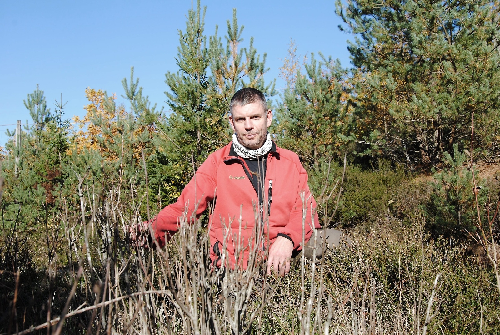 Roger Nordlund, Södra skogsägarna, skogsvårdsledare, Broby Verksamhetsområde. Bilden visar hårt betad rönn av klövvilt.