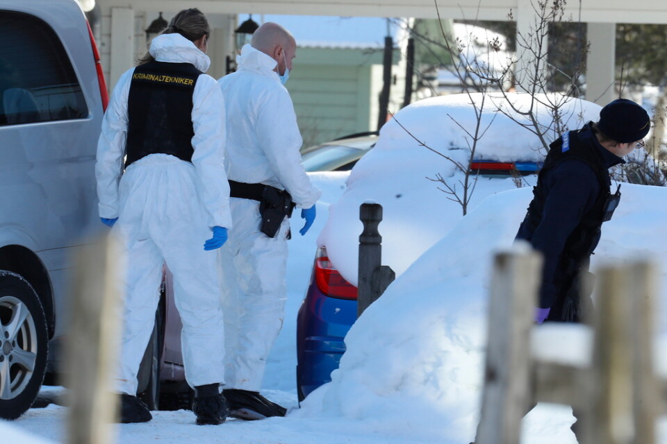 Det var i början av mars som polisen fick larm om att två personer dödats i ett villaområde i Luleå. Arkivbild.