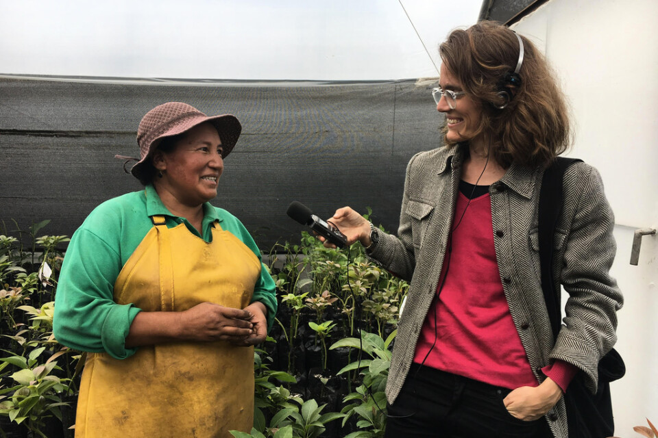 Lotten Collin intervjuar en kvinna som arbetar i den stora snittblomsindustrin i Ecuador. Pressbild.