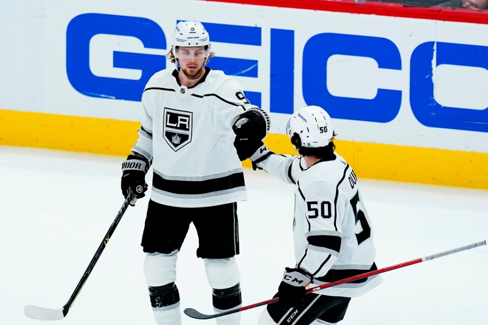Lo svedese Adrian Quimby (a sinistra) gioca per i Los Angeles Kings nella NHL.