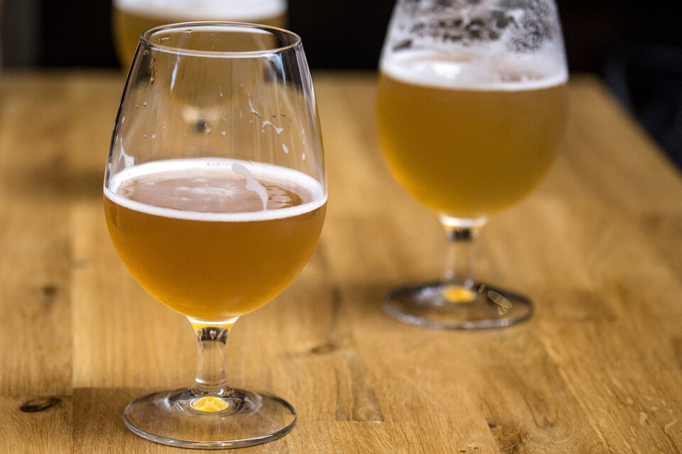 Forskarna vill använd gamla tillverkningsmetoder och kanske även framställa öl för försäljning. Arkivbild.