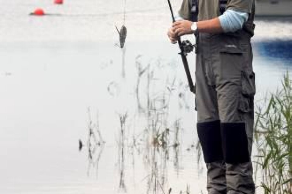 Inget napp i Kalmarsund. Fredrik Radsbyn upplever sin sämsta fiskesommar hittills.
FOTO: ANDERS JOHANSSON