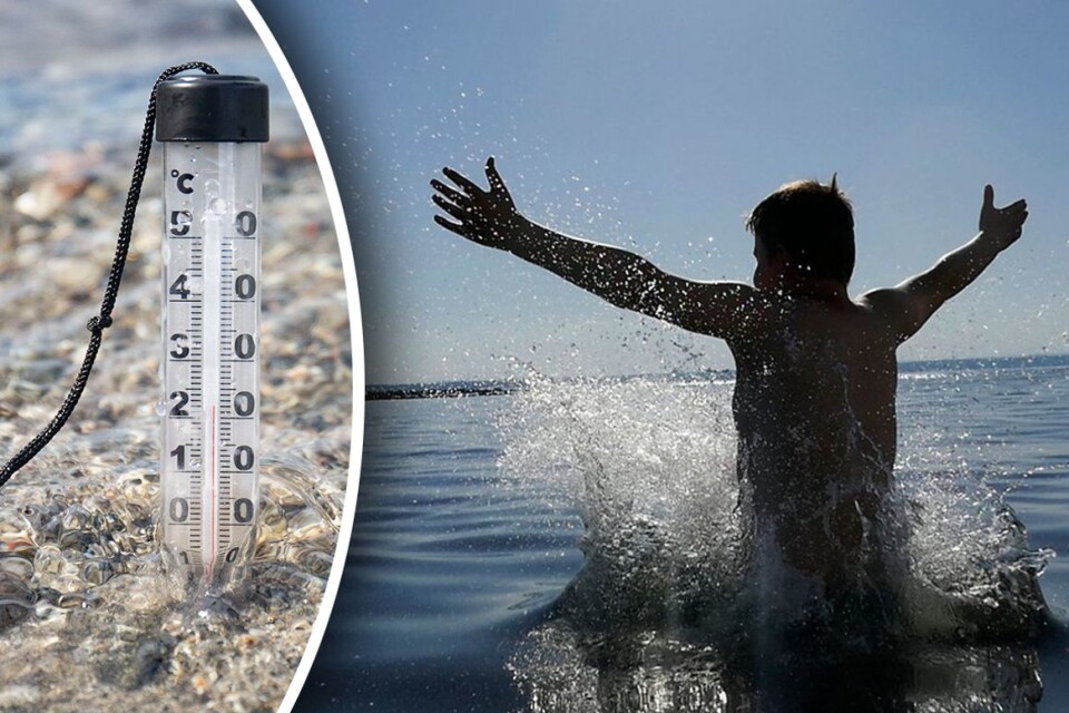 Vi söker flitiga badare längs hela sydöstkusten som vill rapportera vattentemperaturen i sommar.