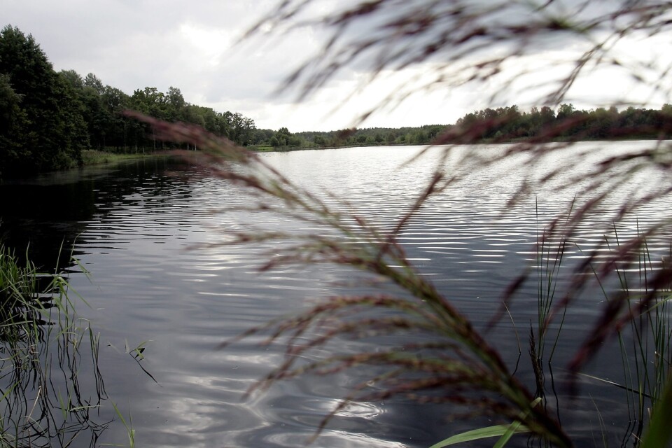 Lillasjöns naturvårdsförening har fått 200 000 kronor i statligt bidrag, LOVA-pengar, för att ta fram studien, som syftar till att utreda möjligheterna att restaurera sjön. Tekniska förvaltningen är positiva till att gå vidare i diskussionen med föreningen.                                                                                                 Arkivbild