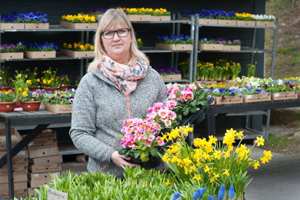 I Blomsterkiosken vid Blekingesjukhuset märks coronakrisen av – fast tvärtom mot många andra ställen. Linda Svensson, som jobbar där, tror att många människor söker tröst och sprider glädje genom att köpa blommor.