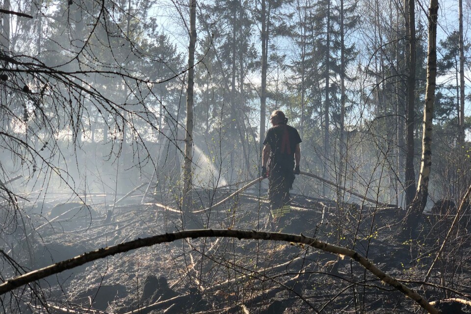 حسب SMHI هناك خطورة كبيرة من الحرائق في الغابات.