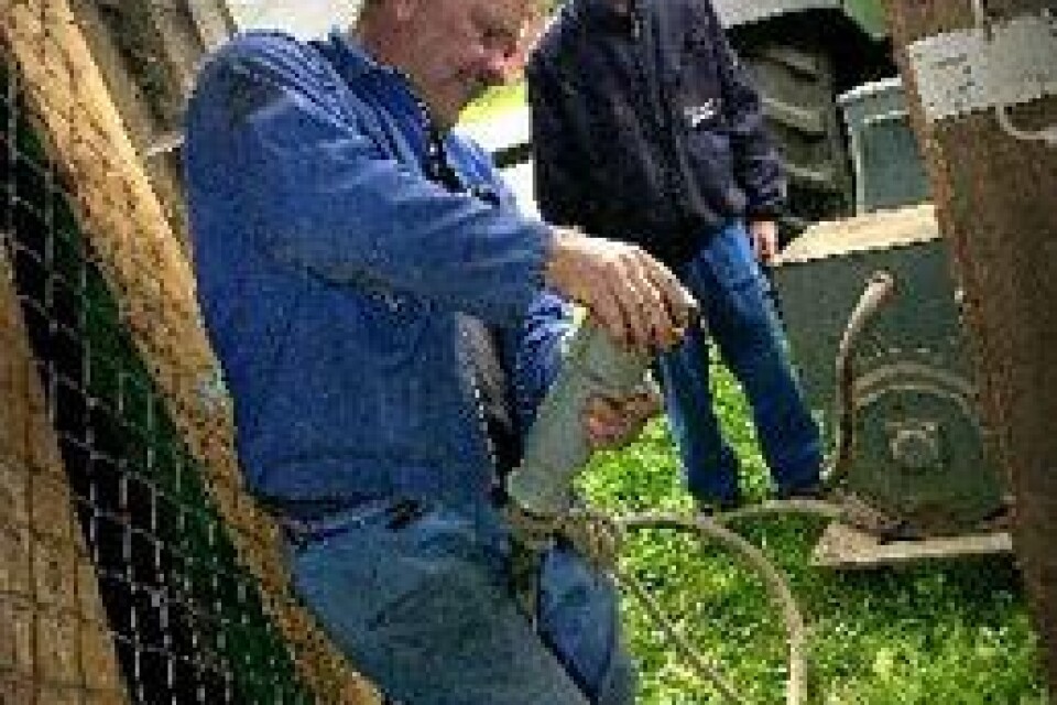 Hans Johansson och sonen Christoffer kopplar reservaggregatet. De 300 korna på Vankiva gård kan mjölkas som vanligt oberoende av samhällets strömförsörjning. Bild: TOMMY SVENSSON
